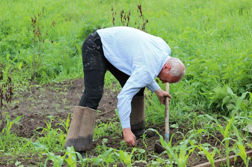 Agricoltura sintropica: un contadino nel suo campo