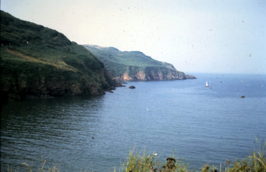 Energia osmotica: costa marina