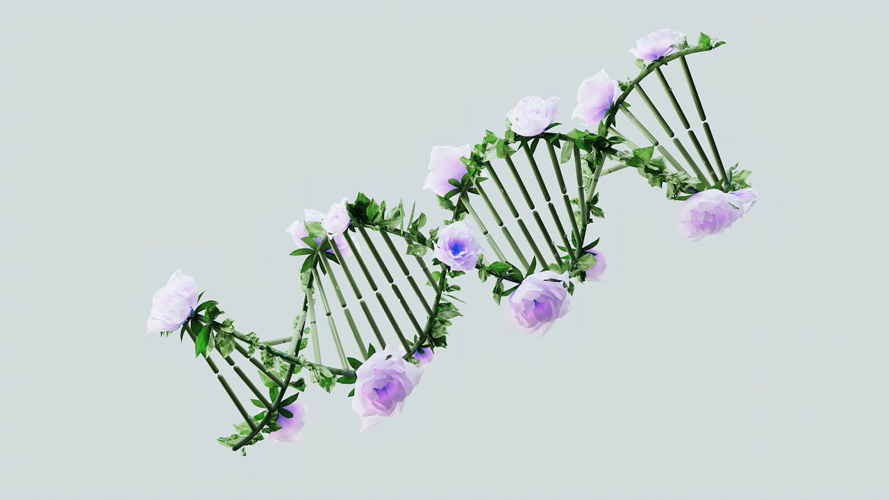 DNA ambientale: un'elica di DNA con piante e fiori