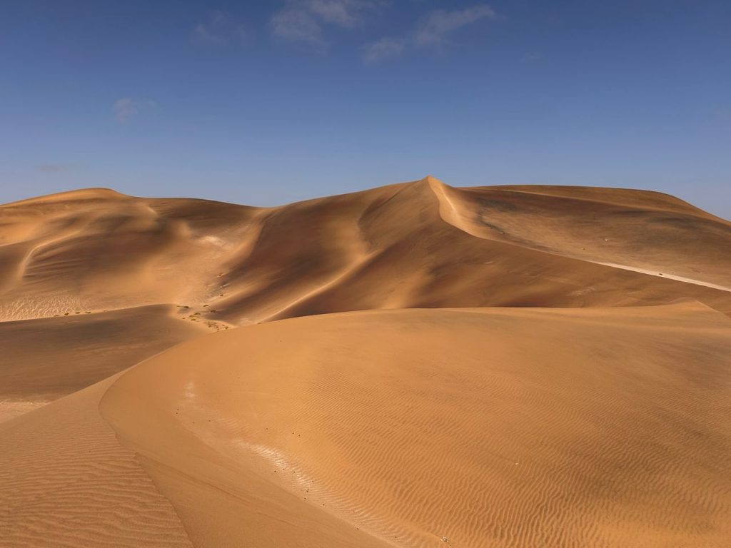 Reticoli metallorganici: dune nel deserto
