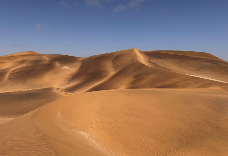 Reticoli metallorganici: dune nel deserto